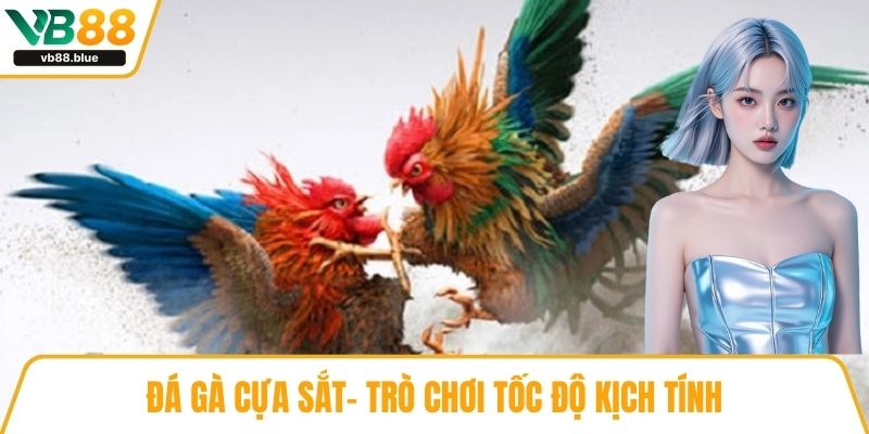 Đá gà cựa sắt- Trò chơi tốc độ kịch tính