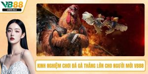 Kinh nghiệm chơi đá gà