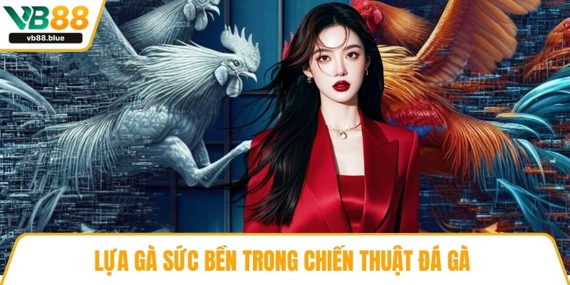 Lựa gà sức bền trong chiến thuật đá gà