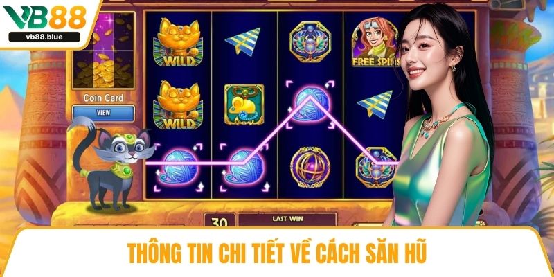 Thông tin chi tiết về cách săn hũ