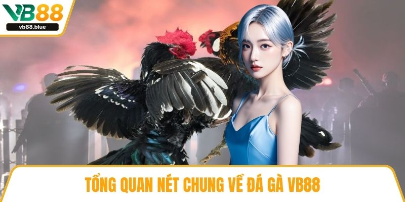 Tổng quan nét chung về đá gà VB88